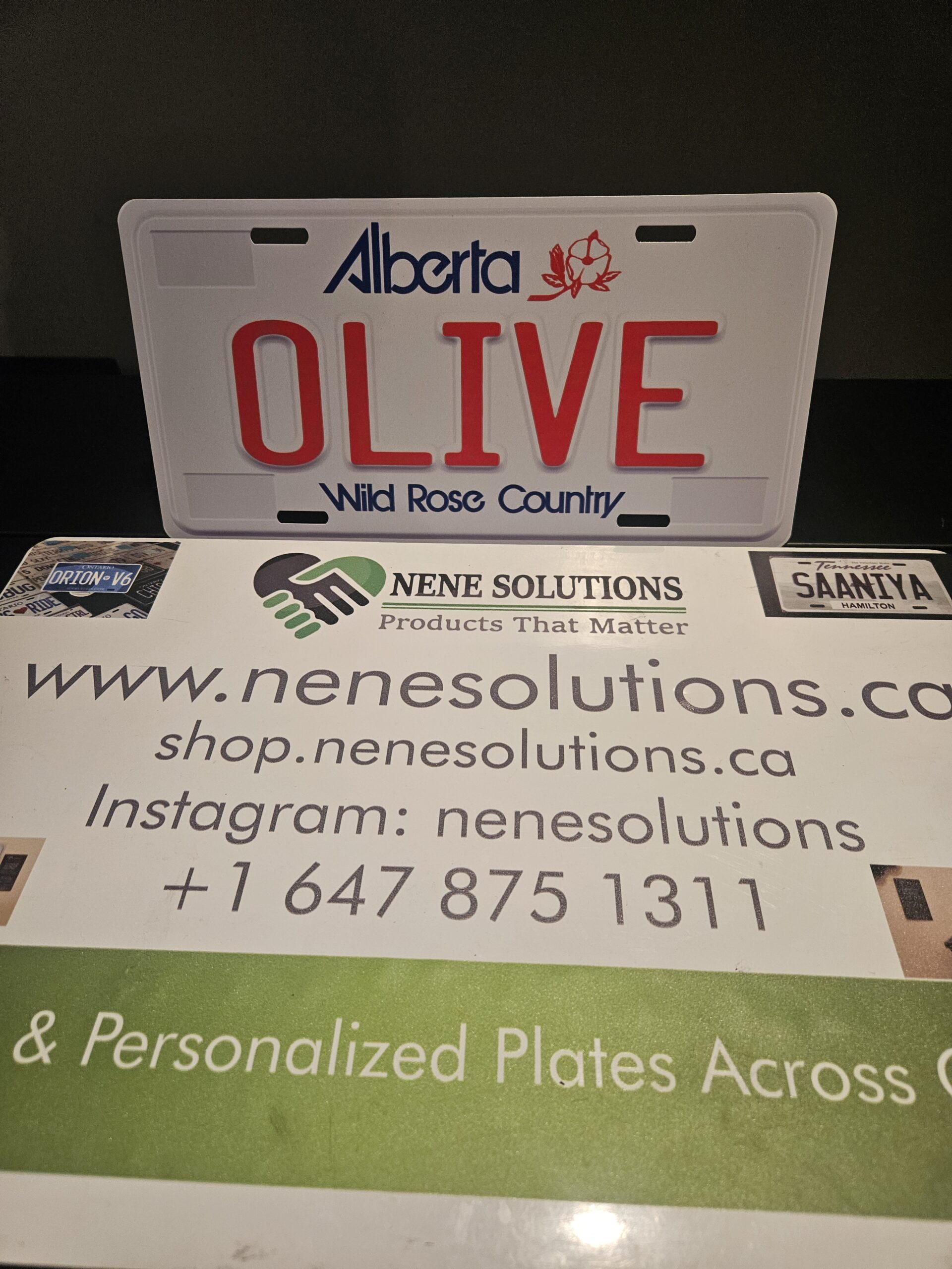 Alberta Wild Rose Country Custom Plate - Image 5