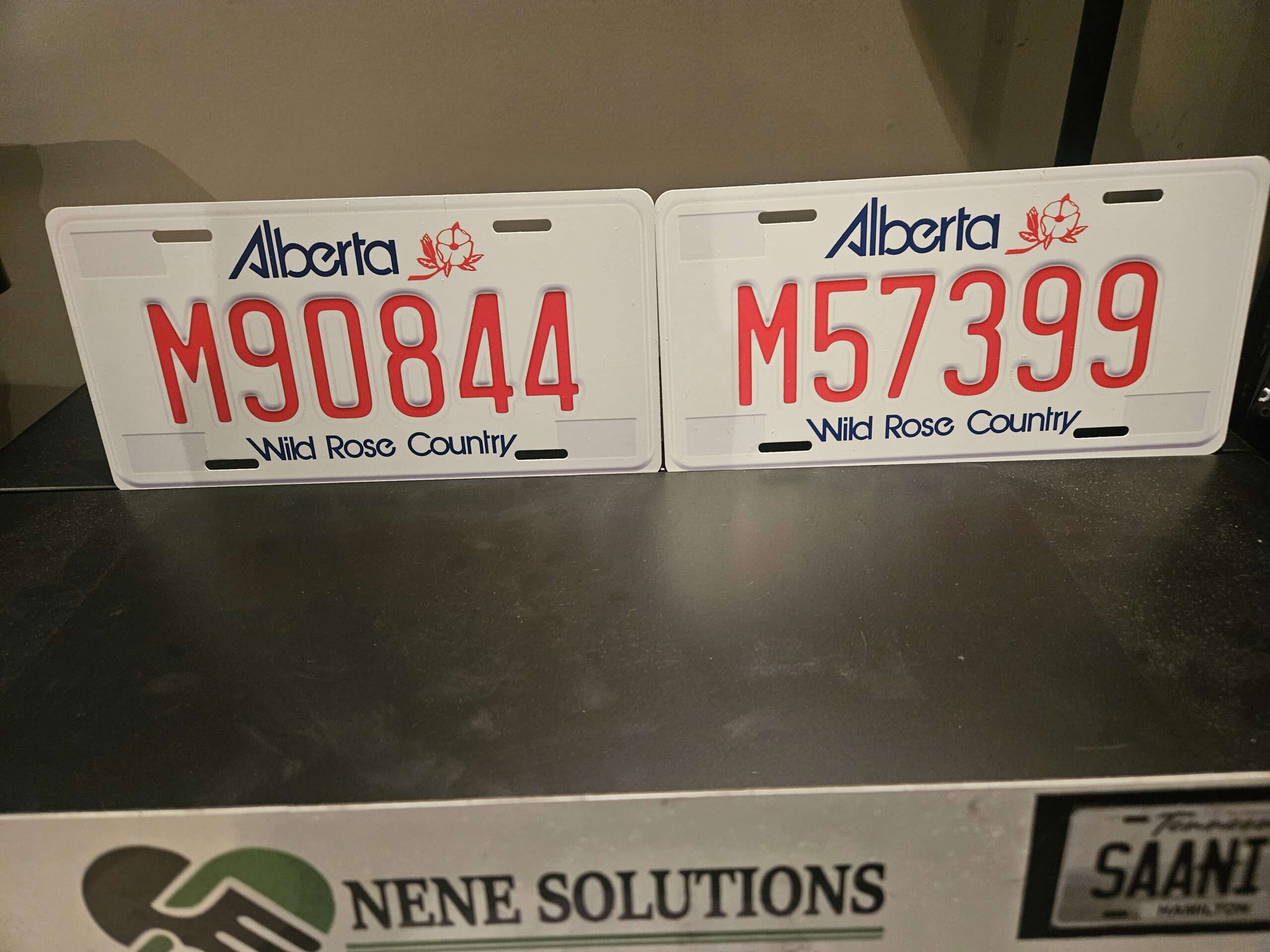 Alberta Wild Rose Country Custom Plate - Image 6