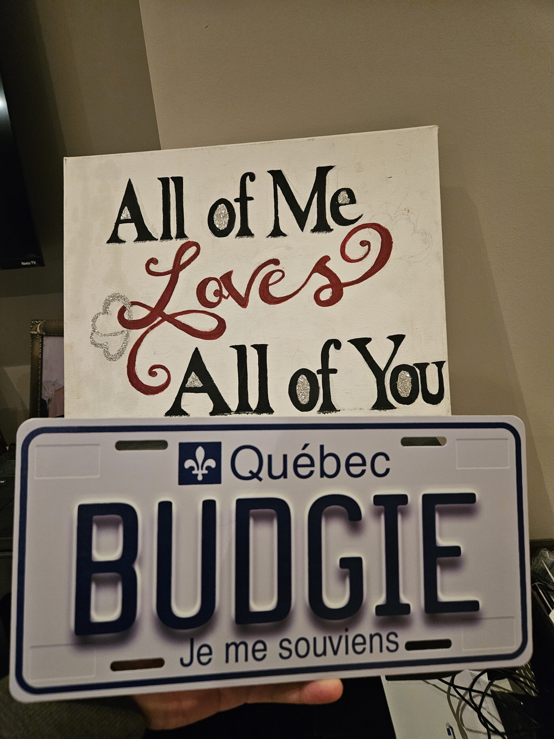 Quebec Custom Plate - Image 8