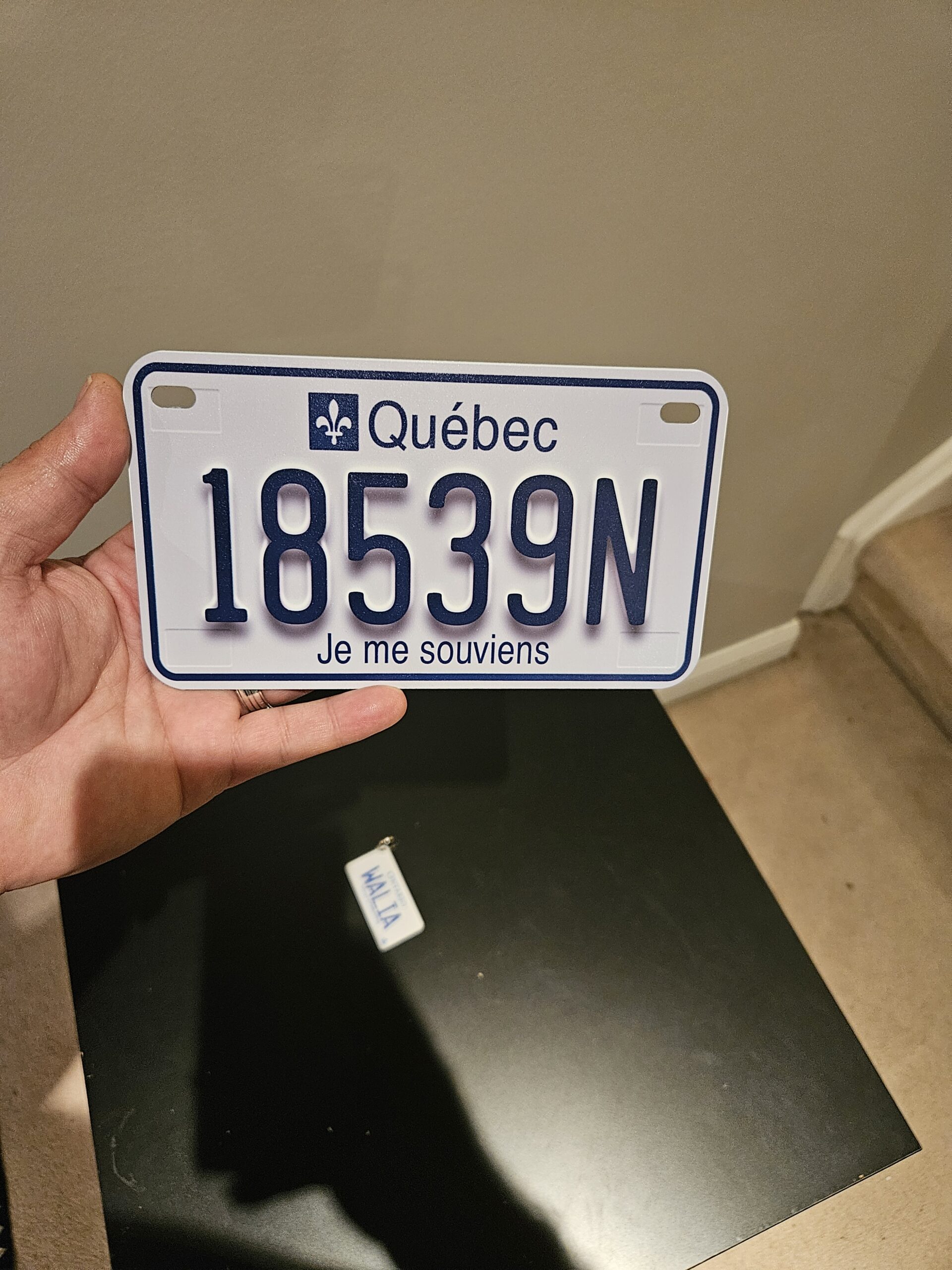 Quebec Custom Plate - Image 10