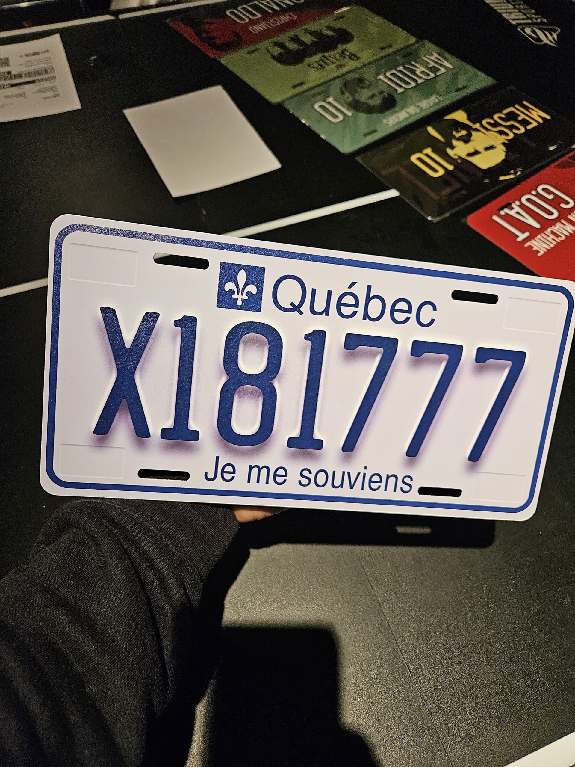 Quebec Custom Plate - Image 11