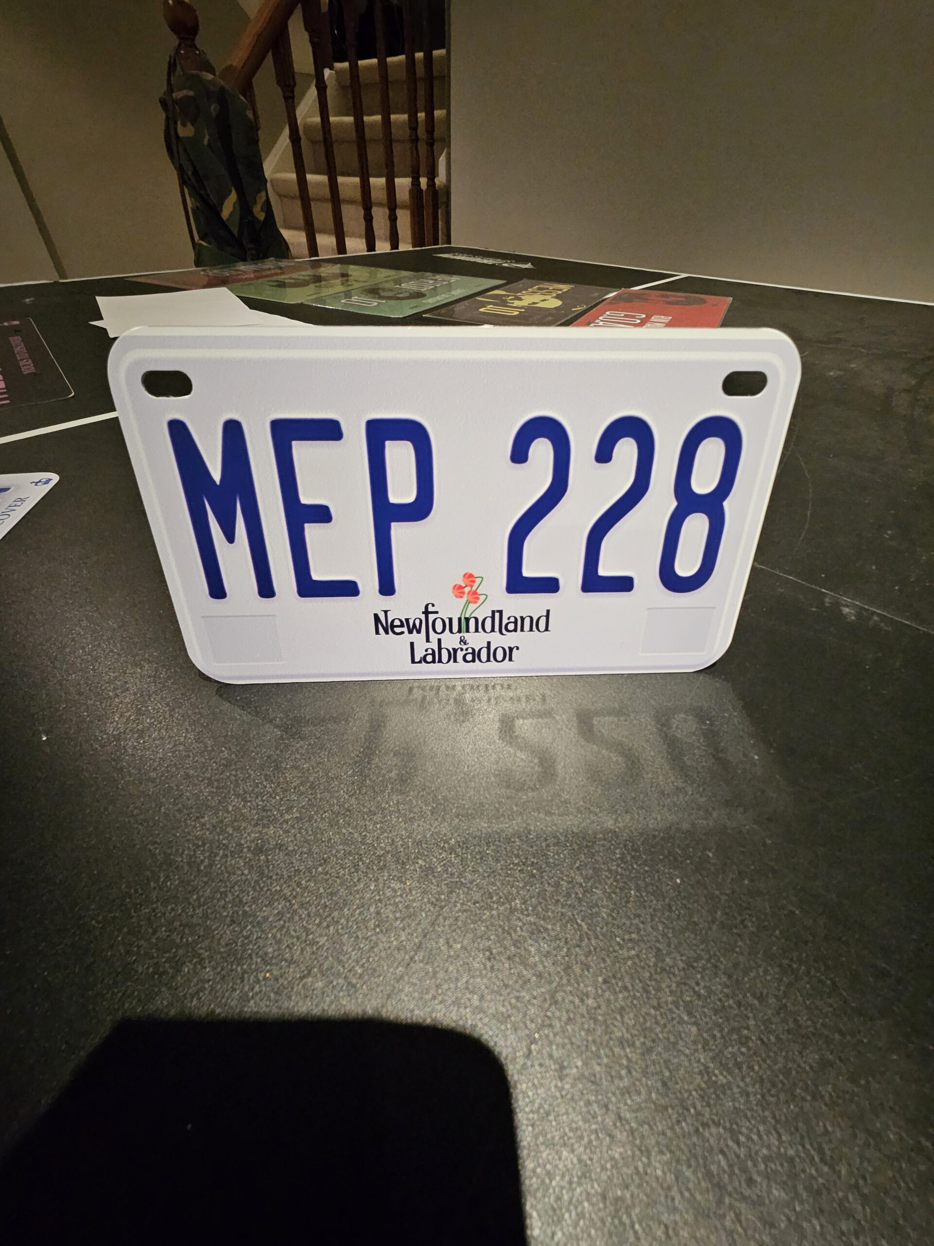 Newfoundland Custom Plate - Image 3