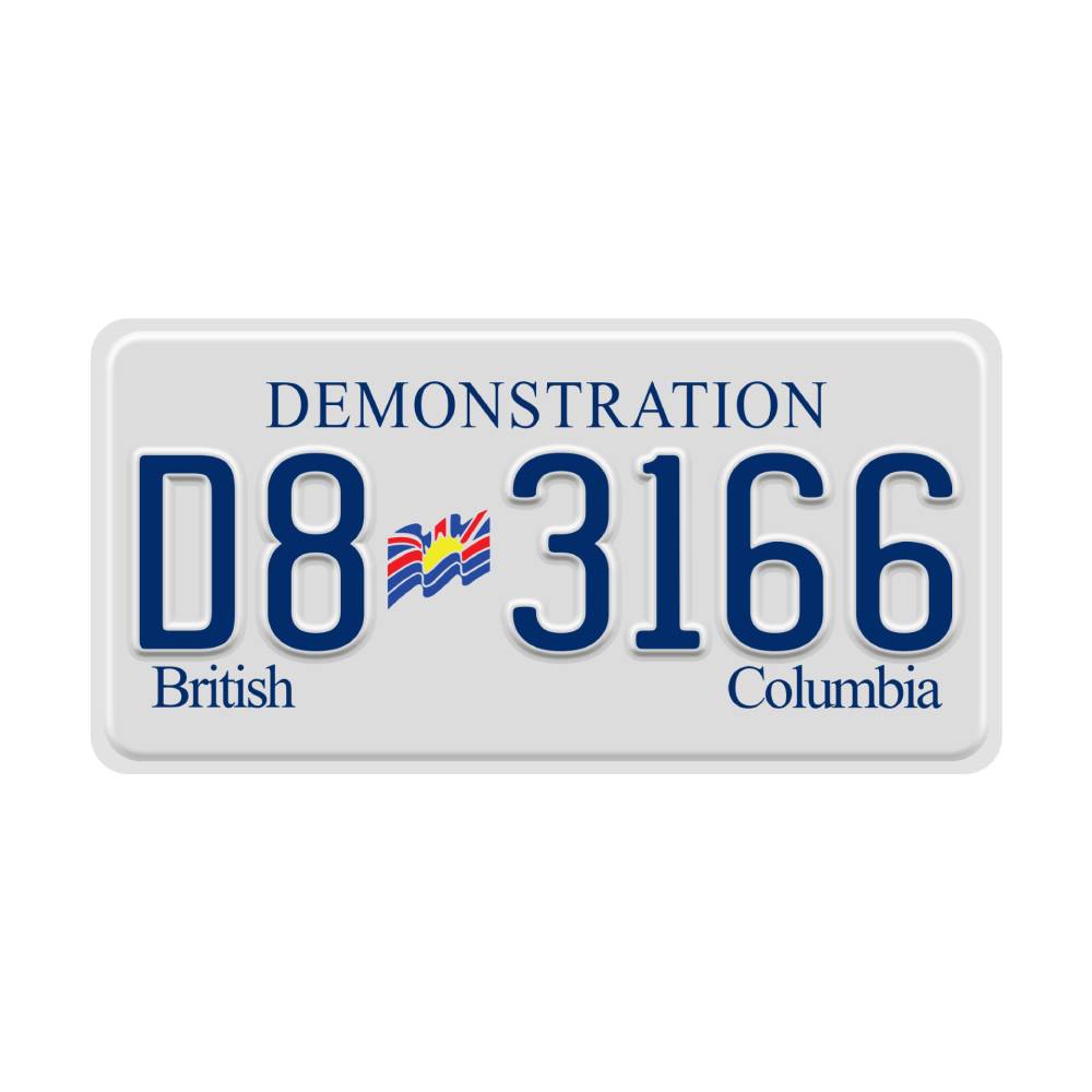 Demonstration D8 3166 plate