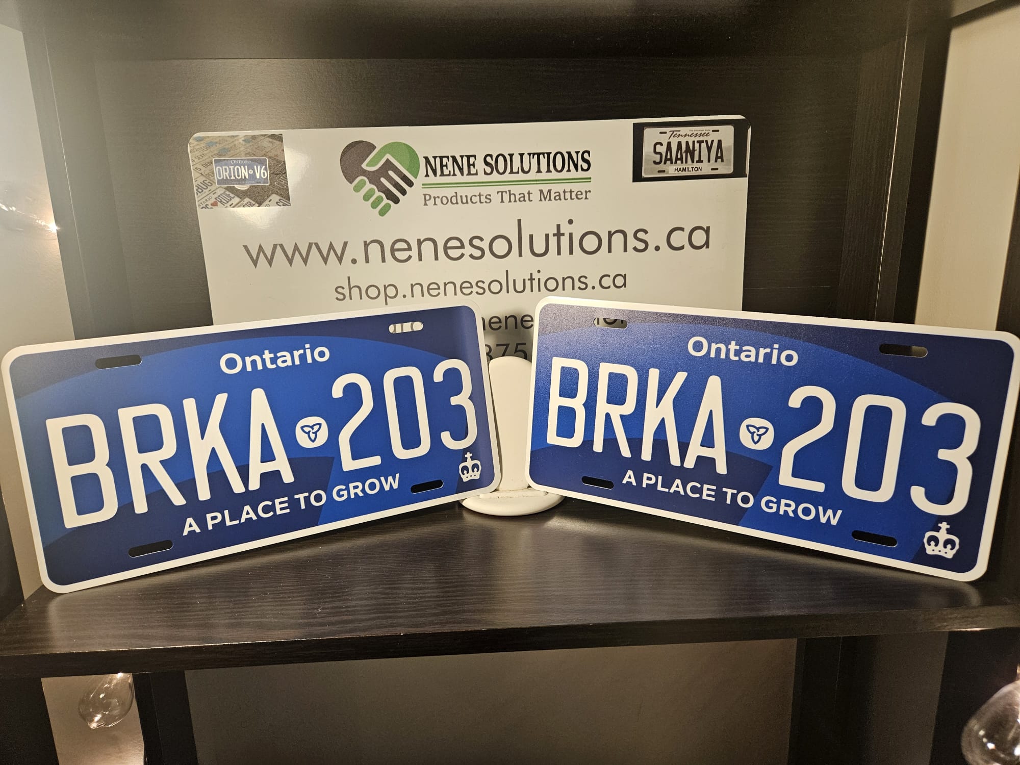 Ontario Special Edition Blue Custom plate - Image 4