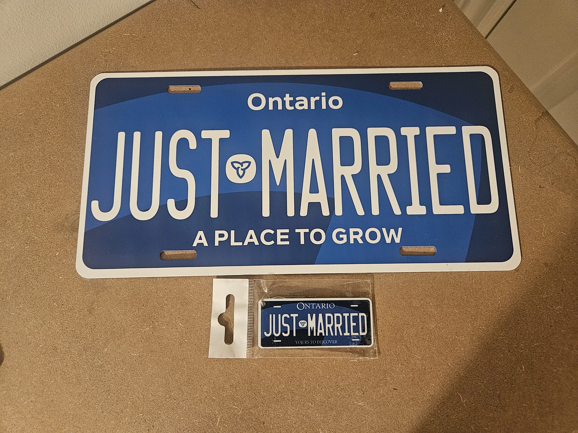 Ontario Special Edition Blue Custom plate - Image 3