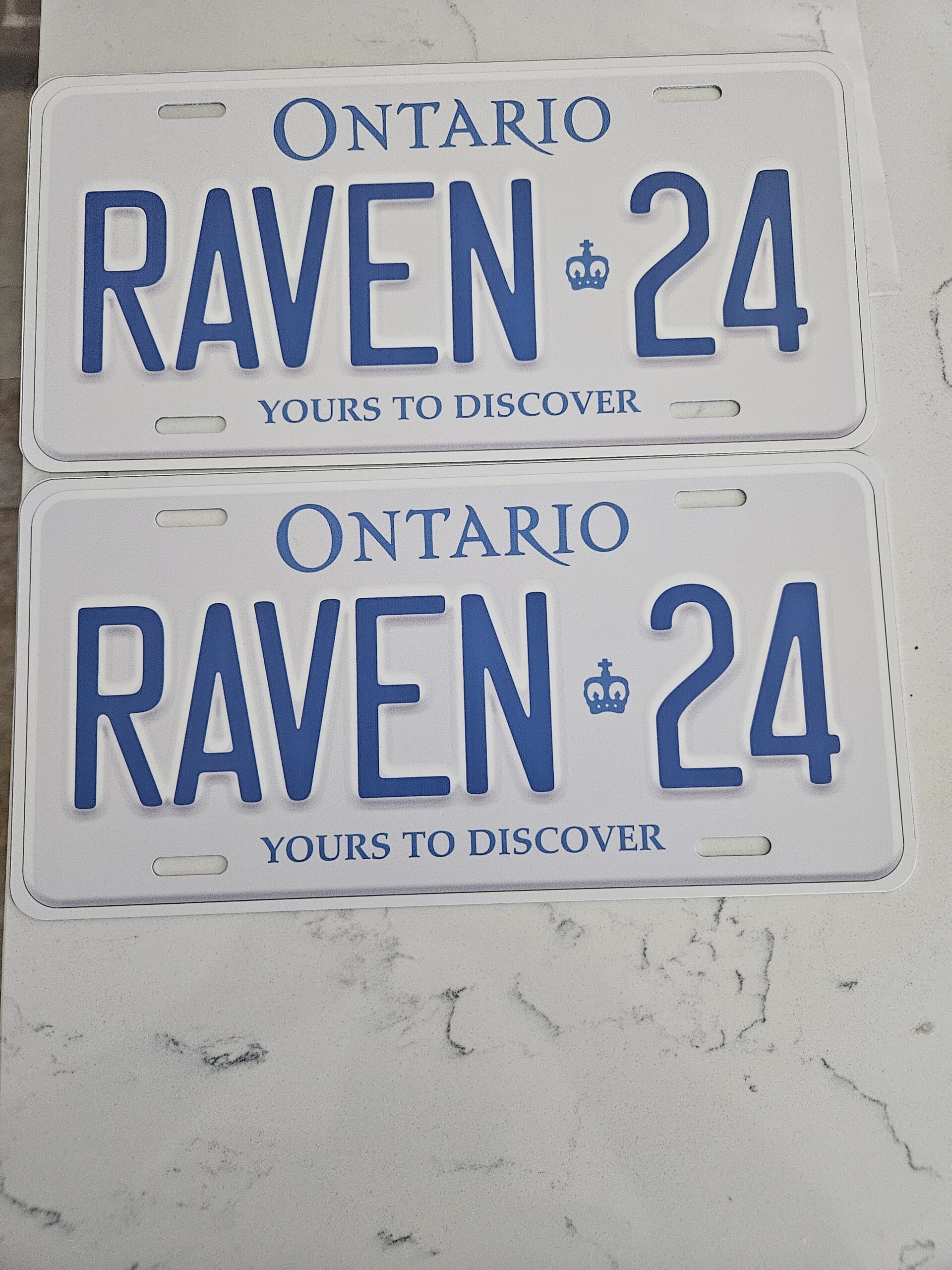 White Ontario With Crown Custom Plate - Image 10