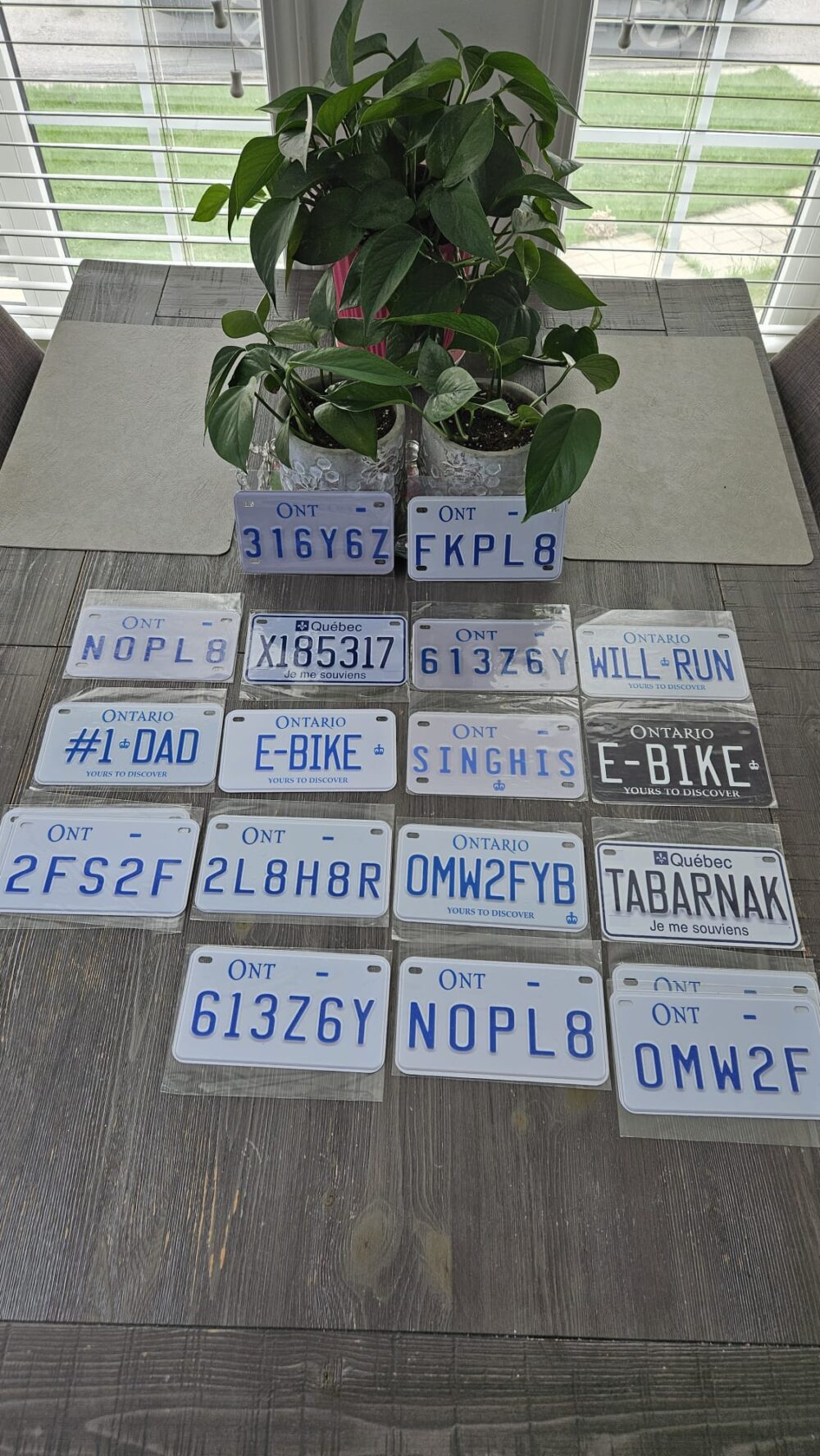 Custom Motorcycle/Bike/ATV/GolfCart Size Plates
