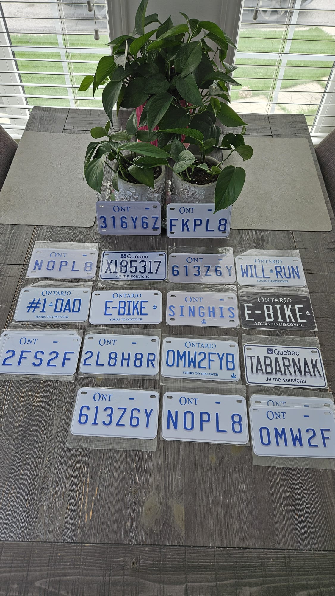 Custom Motorcycle/Bike/ATV/GolfCart Size Plates